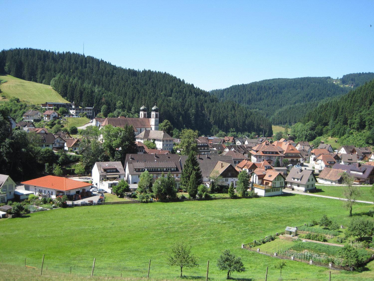 Hotel Restaurant Albans Sonne Bad Rippoldsau-Schapbach Екстериор снимка