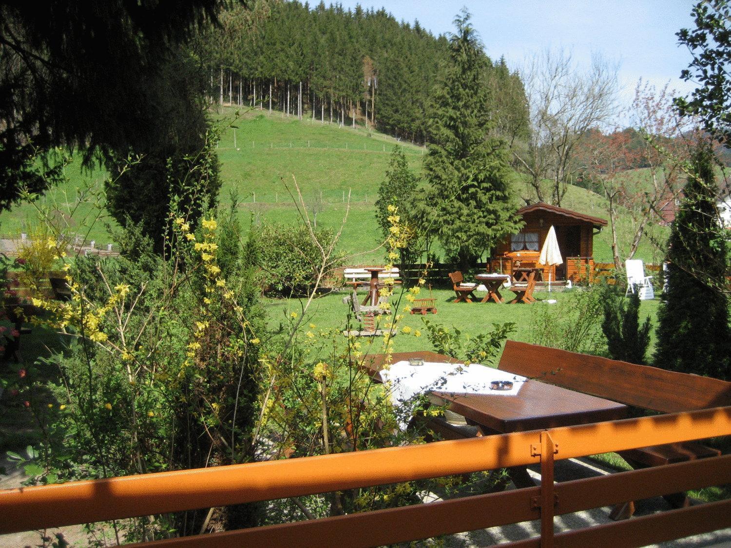 Hotel Restaurant Albans Sonne Bad Rippoldsau-Schapbach Екстериор снимка
